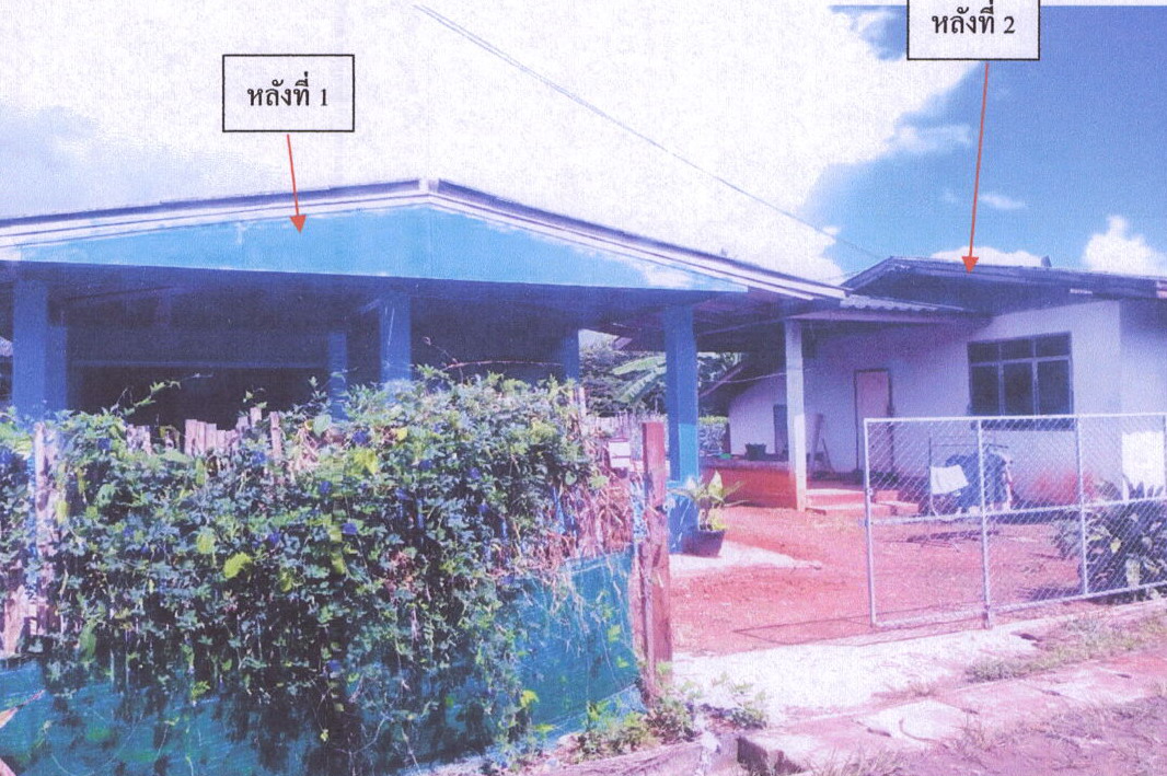 ขายทอดตลาด ที่ดินพร้อมสิ่งปลูกสร้าง ต.แม่เจดีย์ อ.เวียงป่าเป้า จ.เชียงราย