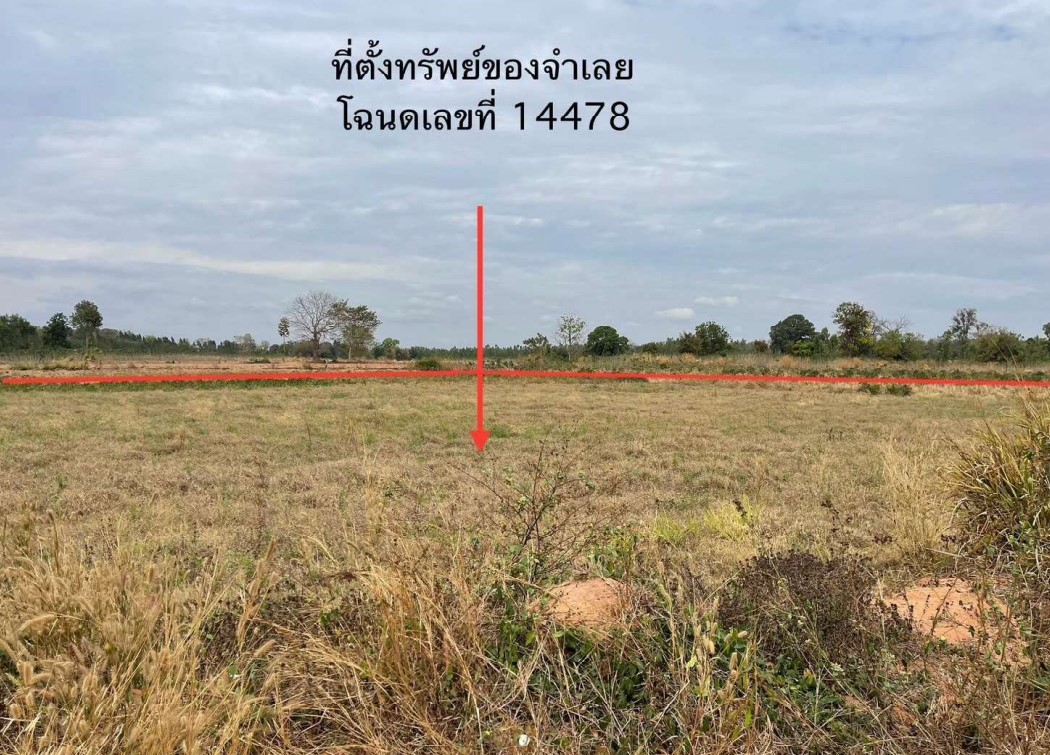 ขายทอดตลาด ที่ดินว่างเปล่า ต.นาข่า อ.มัญจาคีรี จ.ขอนแก่น