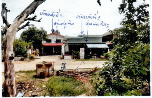 ขายทอดตลาด ที่ดินพร้อมสิ่งปลูกสร้าง ต.กระสัง อ.สตึก จ.บุรีรัมย์