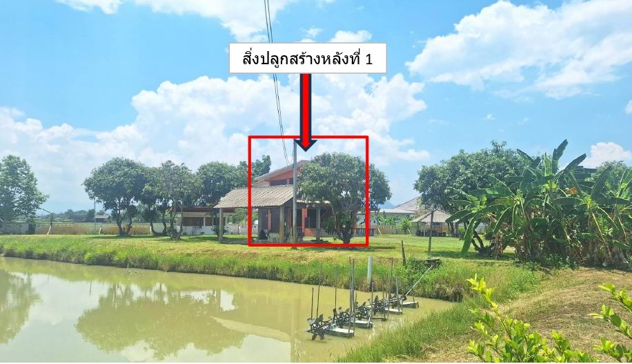 ขายทอดตลาด ที่ดินพร้อมสิ่งปลูกสร้าง ต.สันทราย อ.เมืองเชียงราย จ.เชียงราย