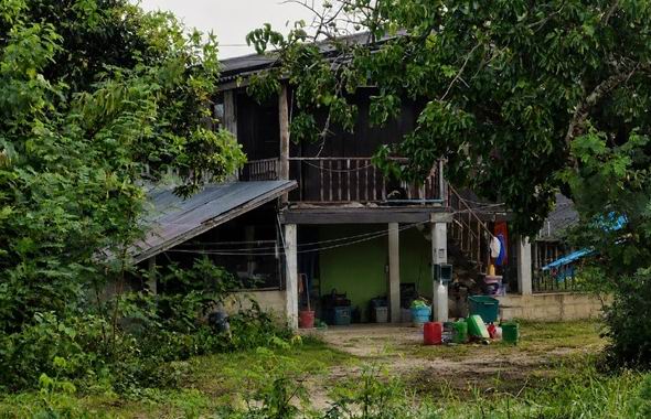 ขายทอดตลาด ที่ดินพร้อมสิ่งปลูกสร้าง ต.สันติสุข อ.พาน จ.เชียงราย