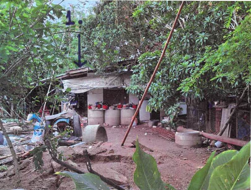 ขายทอดตลาด ที่ดินพร้อมสิ่งปลูกสร้าง ต.แม่ยาว อ.เมืองเชียงราย จ.เชียงราย