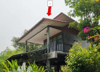 รูปทรัพย์ 2