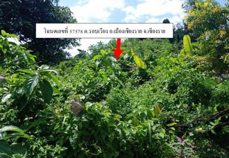 ขายทอดตลาด ที่ดินพร้อมสิ่งปลูกสร้าง ต.รอบเวียง อ.เมืองเชียงราย จ.เชียงราย