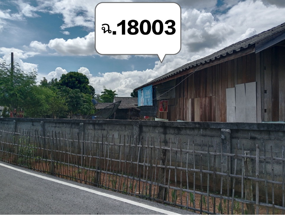 ขายทอดตลาด ที่ดินพร้อมสิ่งปลูกสร้าง ต.สันสลี อ.เวียงป่าเป้า จ.เชียงราย