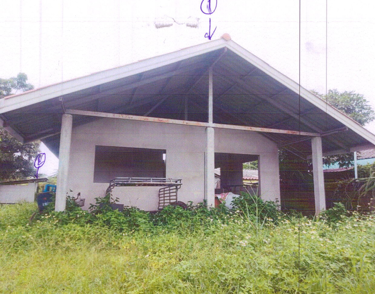 ขายทอดตลาด ที่ดินพร้อมสิ่งปลูกสร้าง ต.ป่าก่อดำ อ.แม่ลาว จ.เชียงราย