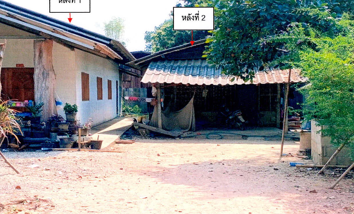 ขายทอดตลาด ที่ดินพร้อมสิ่งปลูกสร้าง ต.เจริญเมือง อ.พาน จ.เชียงราย