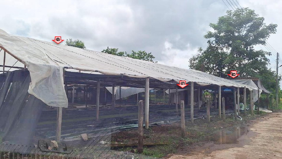 ขายทอดตลาด ที่ดินพร้อมสิ่งปลูกสร้าง ต.แม่คำ อ.แม่จัน จ.เชียงราย