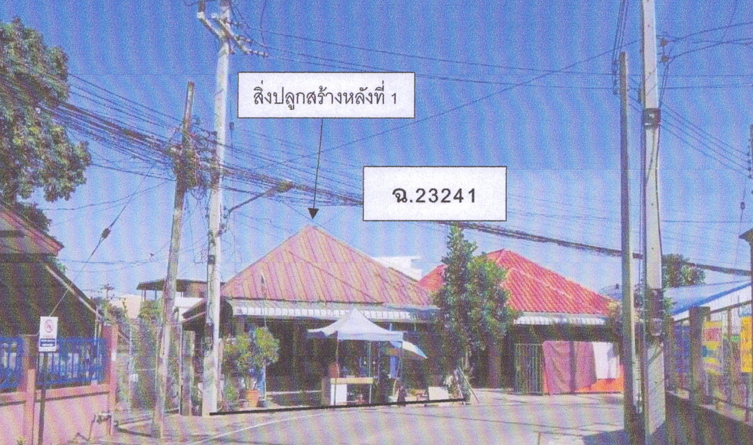 ขายทอดตลาด ที่ดินพร้อมสิ่งปลูกสร้าง ต.แม่สาย อ.แม่สาย จ.เชียงราย