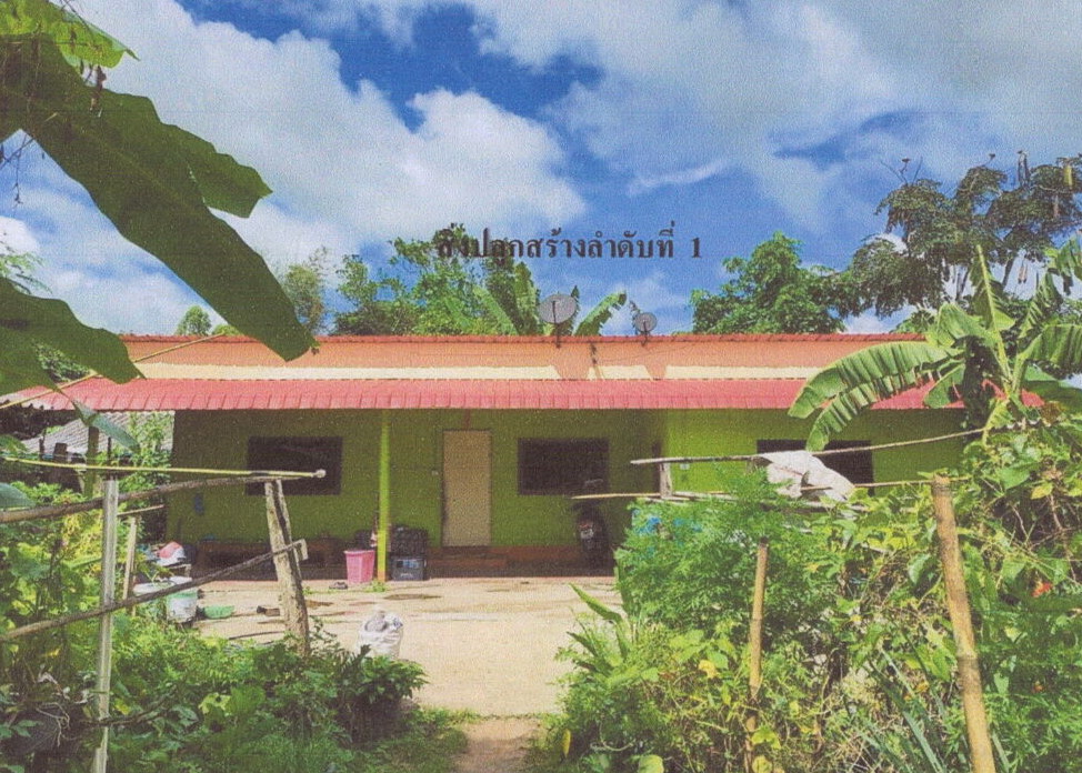 ขายทอดตลาด ที่ดินพร้อมสิ่งปลูกสร้าง ต.ป่างิ้ว อ.เวียงป่าเป้า จ.เชียงราย