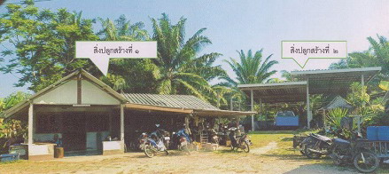 ขายทอดตลาด ที่ดินพร้อมสิ่งปลูกสร้าง ต.กันตัง อ.กันตัง จ.ตรัง