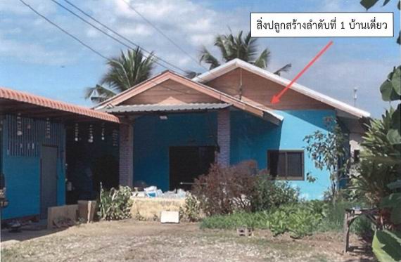ขายทอดตลาด ที่ดินพร้อมสิ่งปลูกสร้าง ต.เกาะช้าง อ.แม่สาย จ.เชียงราย