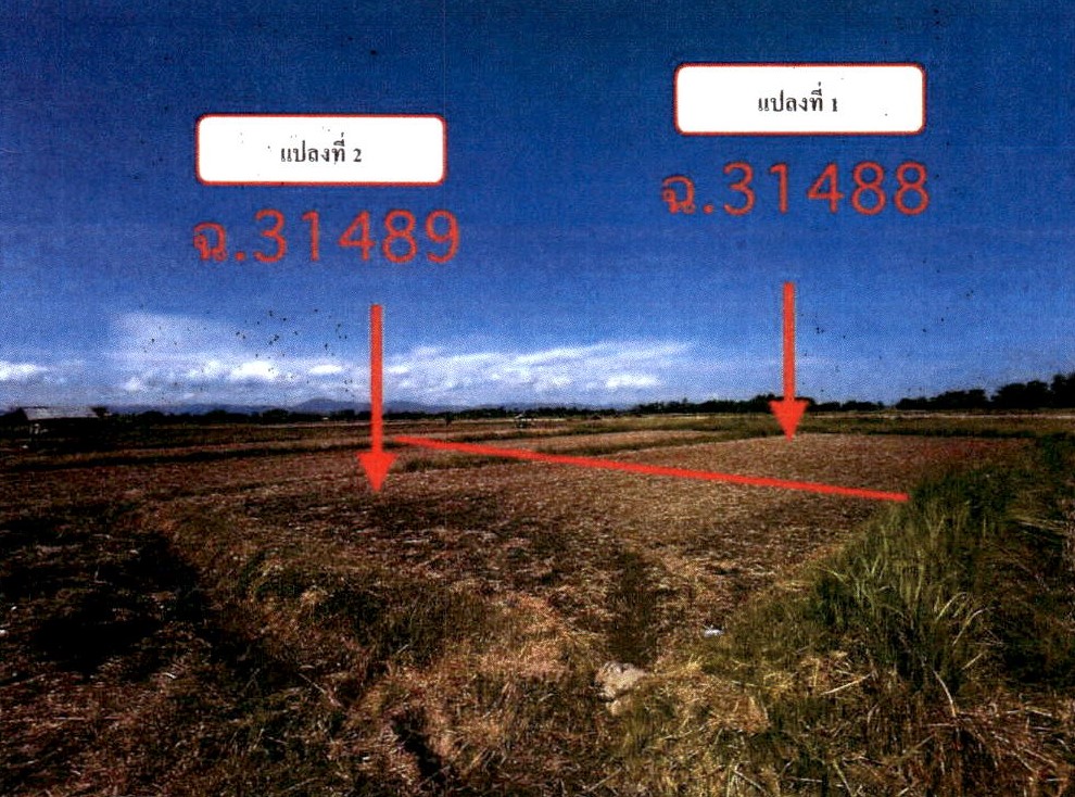 ขายทอดตลาด ที่ดินว่างเปล่า ต.หัวฝาย อ.สูงเม่น จ.แพร่