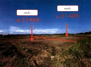 รูปทรัพย์ 1