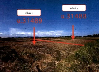 รูปทรัพย์ 2