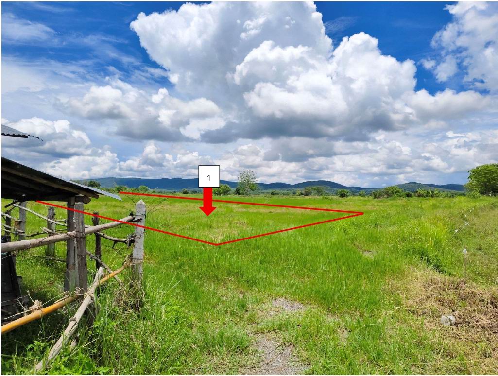 ขายทอดตลาด ที่ดินว่างเปล่า ต.เจริญเมือง อ.พาน จ.เชียงราย