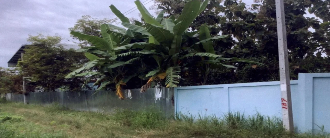 ขายทอดตลาด ที่ดินพร้อมสิ่งปลูกสร้าง ต.หนองม่วงไข่ อ.หนองม่วงไข่ จ.แพร่