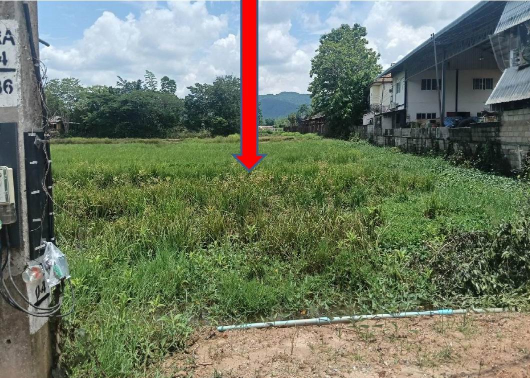 ขายทอดตลาด ที่ดินว่างเปล่า ต.ห้วยสัก อ.เมืองเชียงราย จ.เชียงราย