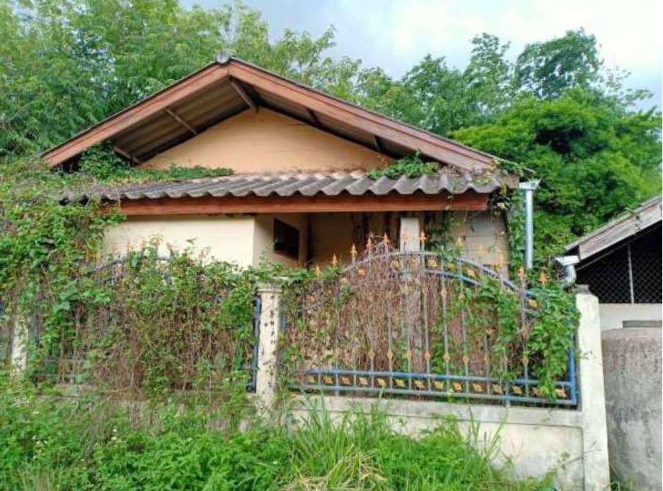 ขายทอดตลาด ที่ดินพร้อมสิ่งปลูกสร้าง ต.ทานตะวัน อ.พาน จ.เชียงราย