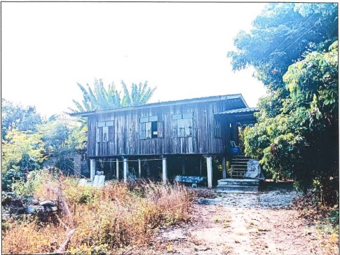 ขายทอดตลาด ที่ดินพร้อมสิ่งปลูกสร้าง ต.แม่สรวย อ.แม่สรวย จ.เชียงราย