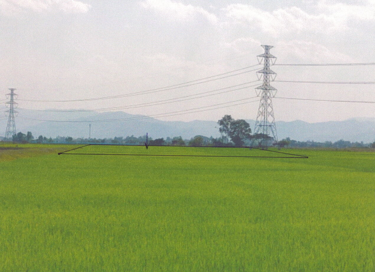 ขายทอดตลาด ที่ดินว่างเปล่า ต.สันกลาง อ.พาน จ.เชียงราย