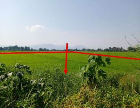 ขายทอดตลาด ที่ดินว่างเปล่า ต.จันจว้า อ.แม่จัน จ.เชียงราย