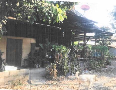 ขายทอดตลาด ที่ดินพร้อมสิ่งปลูกสร้าง ต.ท่าก๊อ อ.แม่สรวย จ.เชียงราย