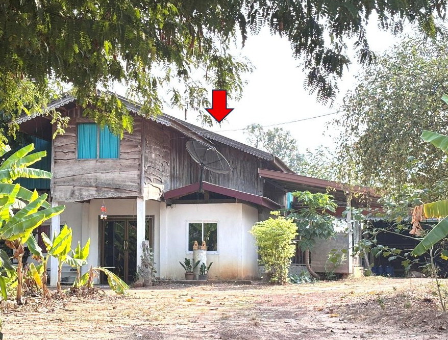ขายทอดตลาด ที่ดินพร้อมสิ่งปลูกสร้าง ต.บัวเงิน อ.น้ำพอง จ.ขอนแก่น