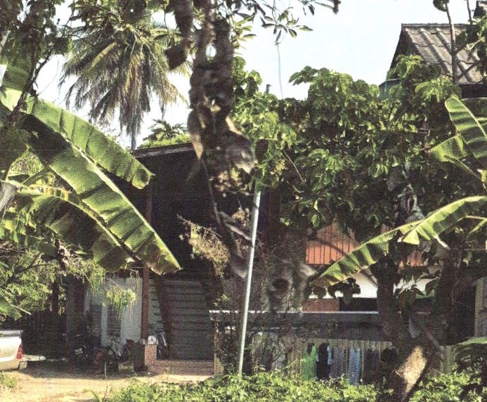ขายทอดตลาด ที่ดินพร้อมสิ่งปลูกสร้าง ต.ป่าแดง อ.เมืองแพร่ จ.แพร่