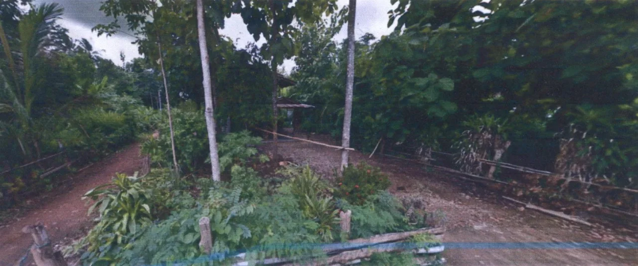 ขายทอดตลาด ที่ดินพร้อมสิ่งปลูกสร้าง ต.บ้านเหล่า อ.สูงเม่น จ.แพร่