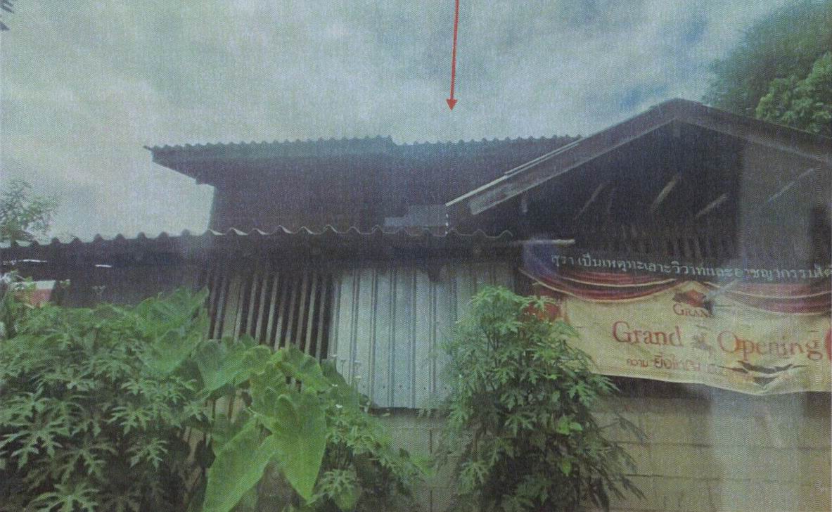 ขายทอดตลาด ที่ดินพร้อมสิ่งปลูกสร้าง ต.ทานตะวัน อ.พาน จ.เชียงราย