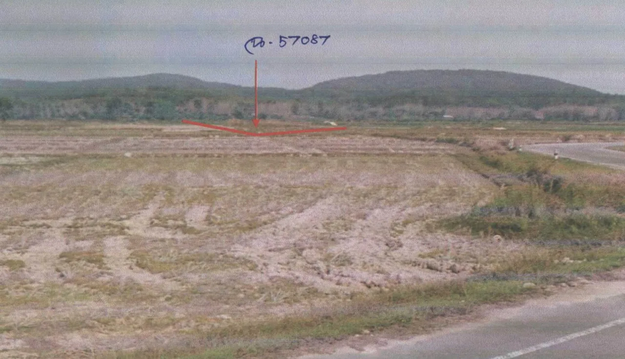 ขายทอดตลาด ที่ดินว่างเปล่า ต.เจริญเมือง อ.พาน จ.เชียงราย