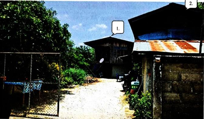 ขายทอดตลาด ที่ดินพร้อมสิ่งปลูกสร้าง ต.เกาะช้าง อ.แม่สาย จ.เชียงราย