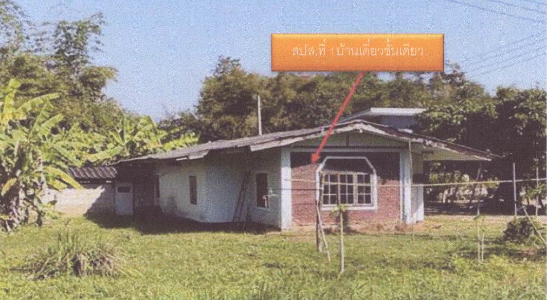 ขายทอดตลาด ที่ดินพร้อมสิ่งปลูกสร้าง ต.สันติสุข อ.พาน จ.เชียงราย