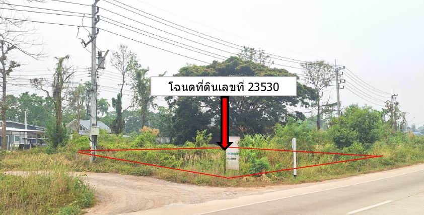 ขายทอดตลาด ที่ดินว่างเปล่า ต.เวียงชัย อ.เวียงชัย จ.เชียงราย