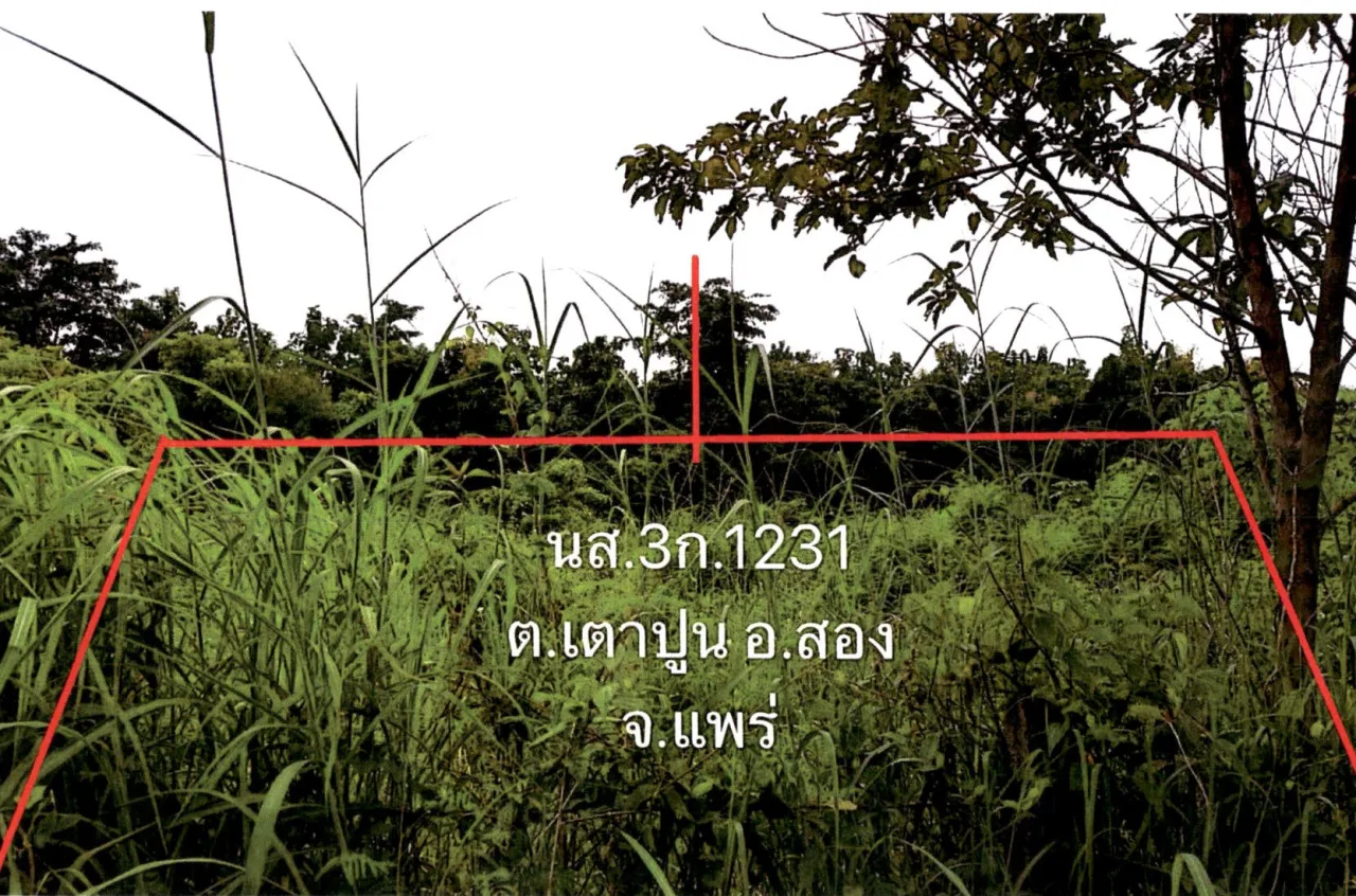 ขายทอดตลาด ที่ดินว่างเปล่า ต.เตาปูน อ.สอง จ.แพร่
