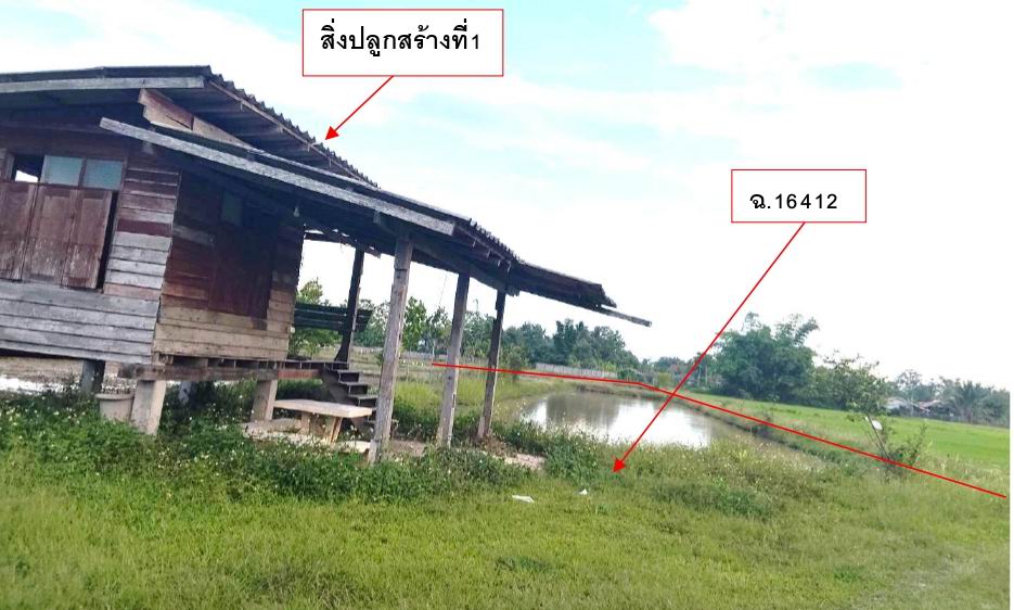 ขายทอดตลาด ที่ดินพร้อมสิ่งปลูกสร้าง ต.แม่อ้อ อ.พาน จ.เชียงราย