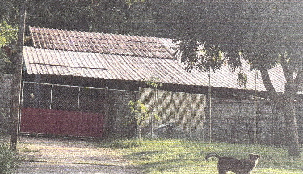 ขายทอดตลาด ที่ดินพร้อมสิ่งปลูกสร้าง ต.เด่นชัย อ.เด่นชัย จ.แพร่