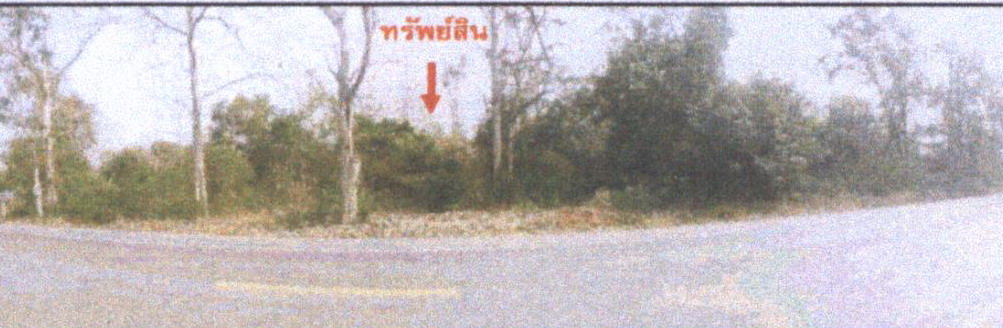 ขายทอดตลาด ที่ดินว่างเปล่า ต.เตาปูน อ.สอง จ.แพร่