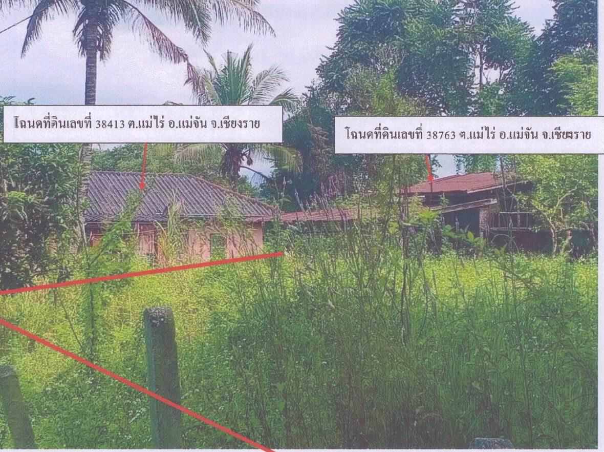 ขายทอดตลาด ที่ดินพร้อมสิ่งปลูกสร้าง ต.แม่ไร่ อ.แม่จัน จ.เชียงราย
