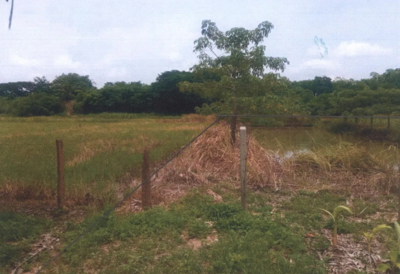 ขายทอดตลาด ที่ดินว่างเปล่า ต.บ้านหนุน อ.สอง จ.แพร่