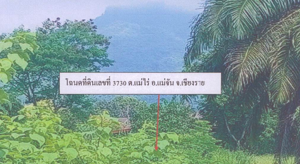 ขายทอดตลาด ที่ดินว่างเปล่า จ.เชียงราย