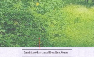 รูปทรัพย์ 2