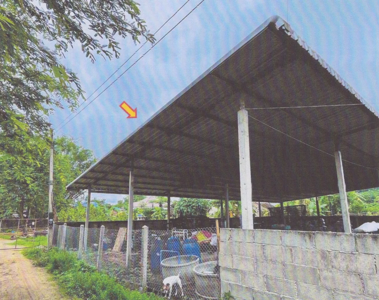 ขายทอดตลาด ที่ดินพร้อมสิ่งปลูกสร้าง ต.เวียงกาหลง อ.เวียงป่าเป้า จ.เชียงราย