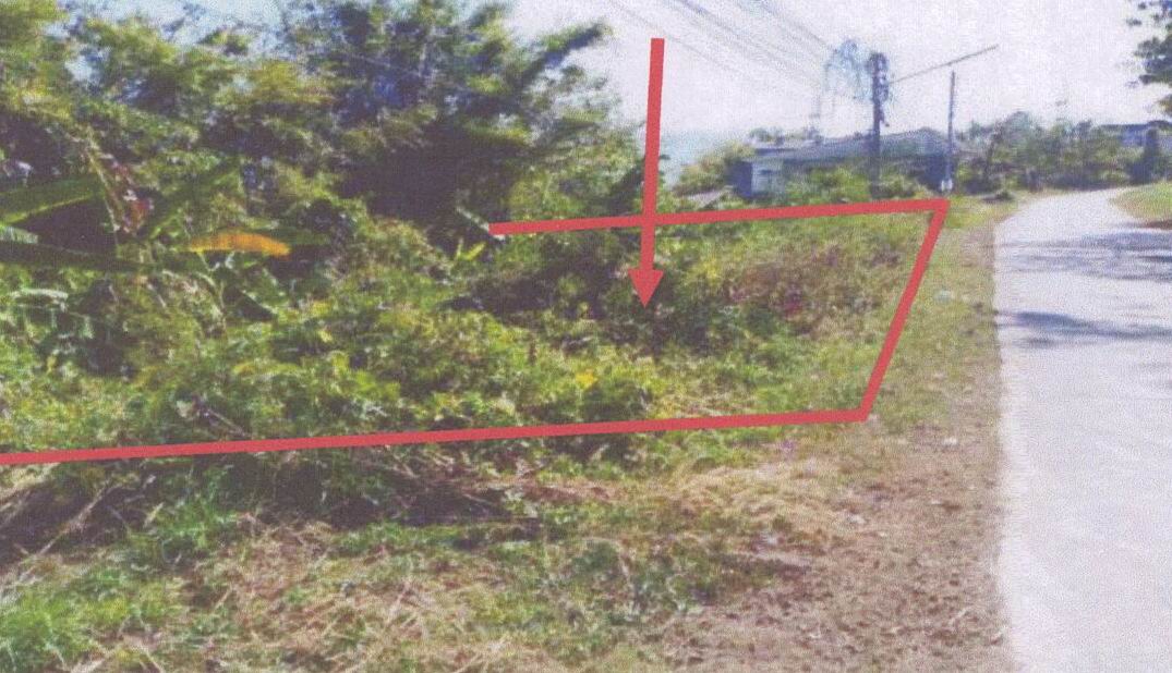 ขายทอดตลาด ที่ดินว่างเปล่า ต.สันทราย อ.เมืองเชียงราย จ.เชียงราย