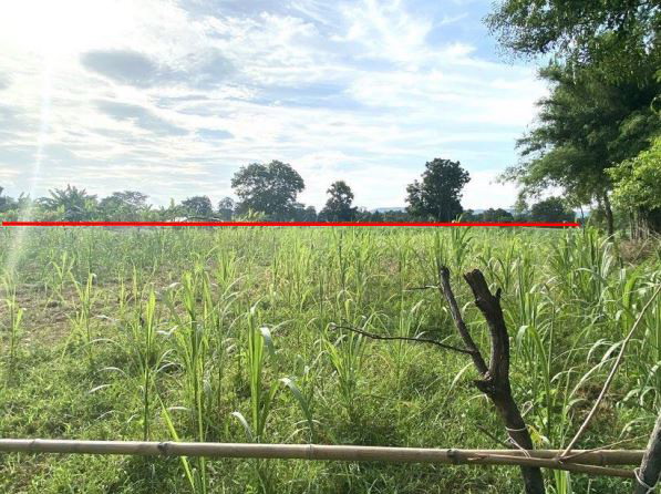 ขายทอดตลาด ที่ดินว่างเปล่า ต.ซับสมบูรณ์ อ.โคกโพธิ์ไชย จ.ขอนแก่น