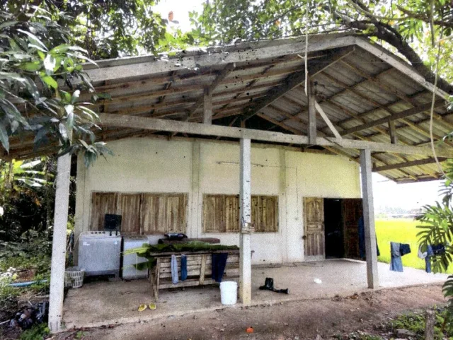ขายทอดตลาด ที่ดินพร้อมสิ่งปลูกสร้าง ต.ป่าแดง อ.เมืองแพร่ จ.แพร่