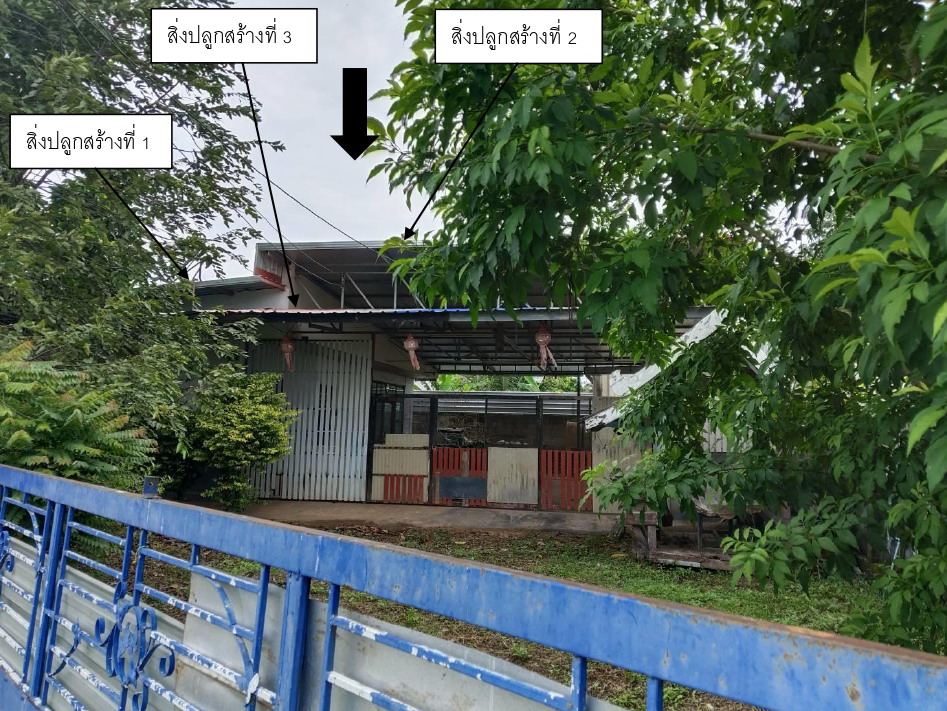 ขายทอดตลาด ที่ดินพร้อมสิ่งปลูกสร้าง ต.แม่คำ อ.แม่จัน จ.เชียงราย