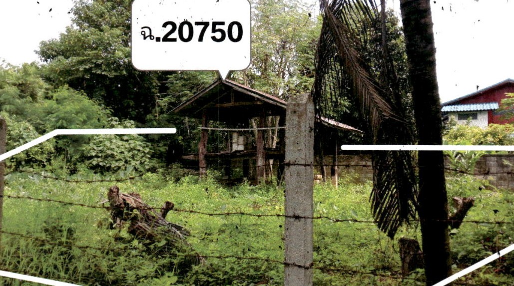 ขายทอดตลาด ที่ดินพร้อมสิ่งปลูกสร้าง ต.บ้านหนุน อ.สอง จ.แพร่