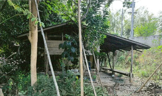 ขายทอดตลาด ที่ดินพร้อมสิ่งปลูกสร้าง ต.นางแล อ.เมืองเชียงราย จ.เชียงราย